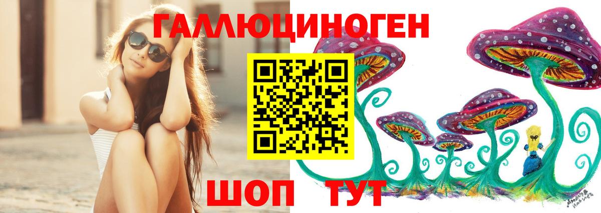 где найти наркотики  Галлюциногенные грибы Psilocybine cubensis  Вход с VPN  Черкесск  Галлюциногенные грибы ЛСД 